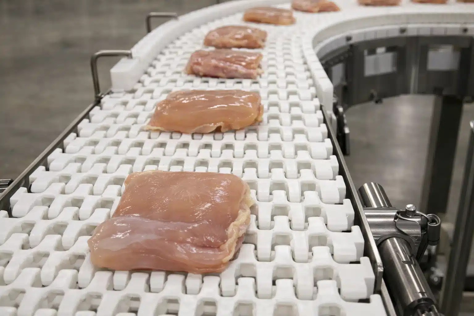 Sanitary stainless steel food grade conveyor