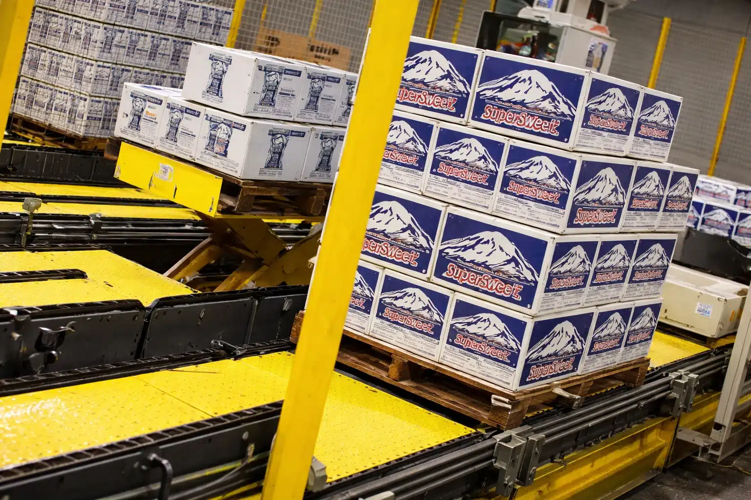 Heavy duty pallet chain conveyor system